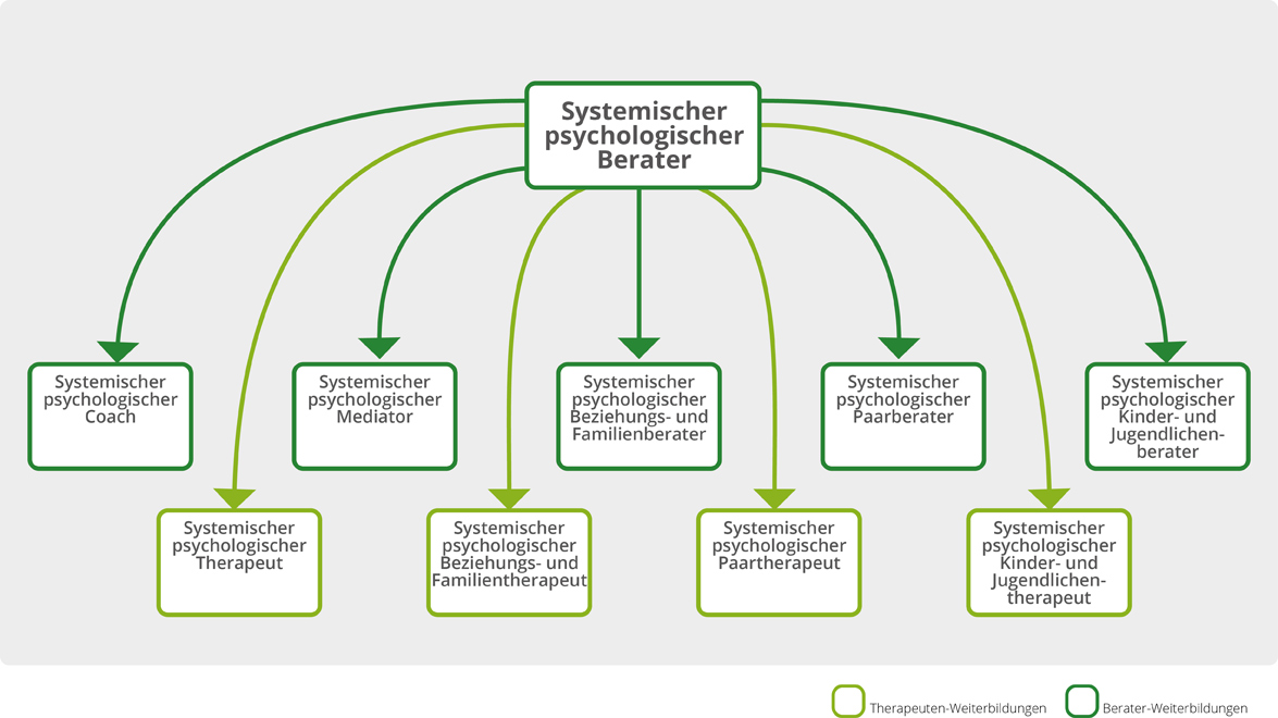 Was Ist Ein Systemischer Berater www.systemloesungen-hisl.de
