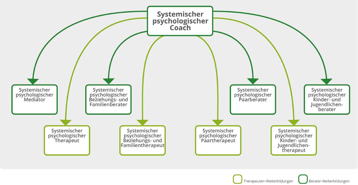 Systemischer psychologischer Coach - Hamburger Institut für systemische