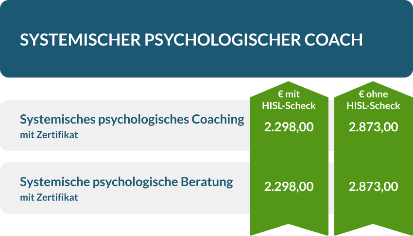 Kosten Systemischer psychologischer Coach