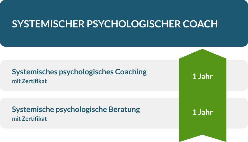 Struktur und Umfang Systemischer psychologischer Coach