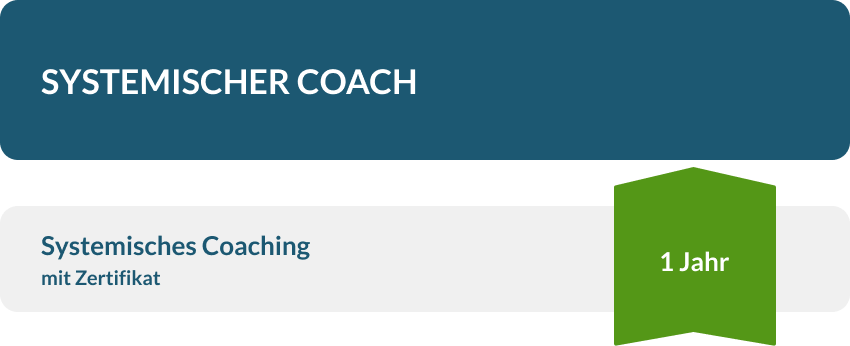 Struktur und Umfang Systemischer Coach