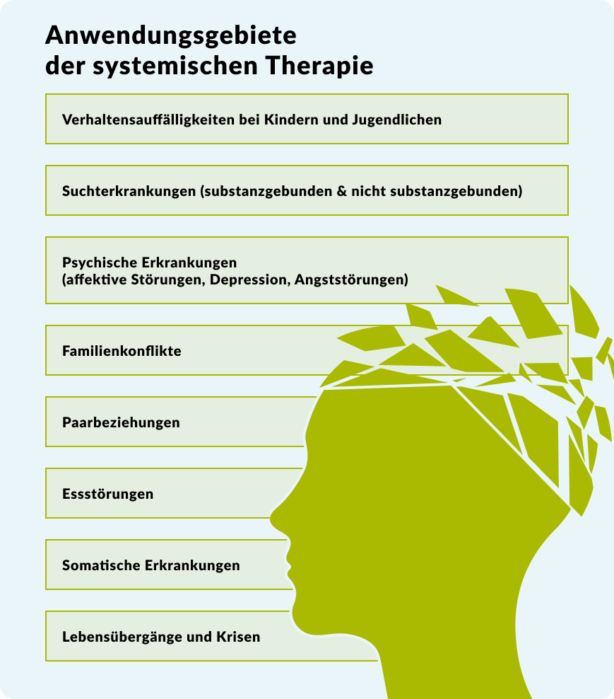 Die Abbildung der Anwendungsgebiete der systemischen Therapie.
