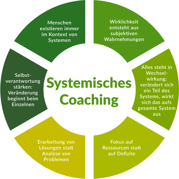 Diagramm zur Veranschaulichung der wichtigsten Prinzipien des systemischen Coachings, einschließlich Systemkontext, subjektiver Realität, Wechselbeziehungen, Ressourcenfokus, Lösungsorientierung und Eigenverantwortung.